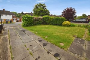 Front Garden- click for photo gallery